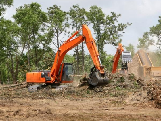 Two orange excavators working on land clearing