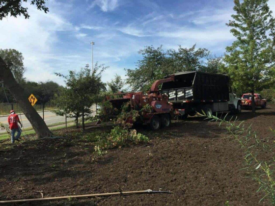 Progressive Tree Service