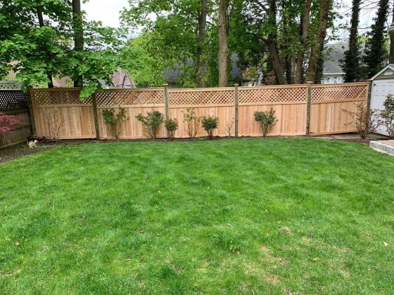 A backyard with a wooden fence and green grass
