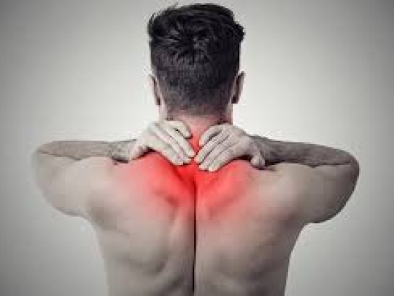 Thrive Chiropractic || Dr. Ry Yorgason
