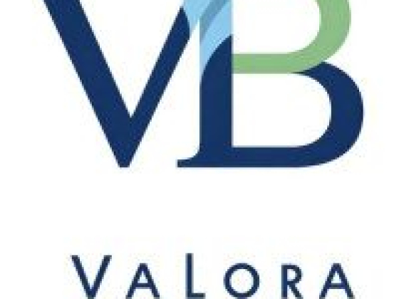 Valora Bookkeeping
