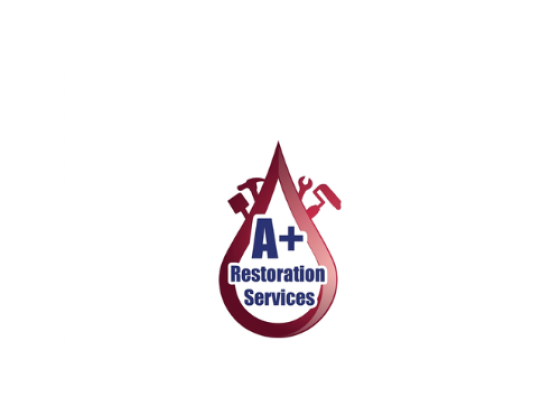 A+ Services