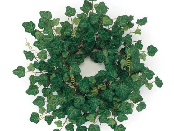 A circular wreath made of green ivy leaves