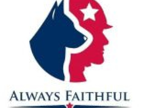 Always Faithful Dog & Puppy Training South Coast