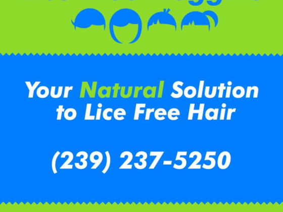 Lice Free Noggins Fort Myers