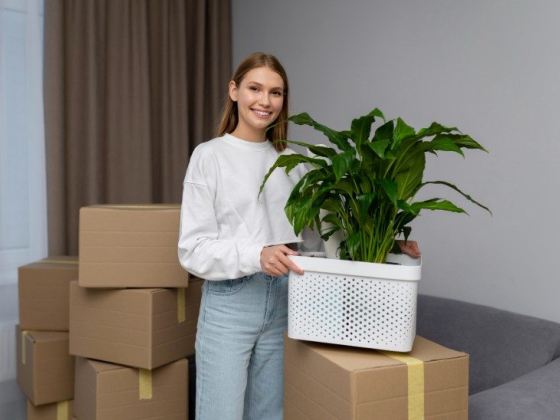 1st Choice Moving LV