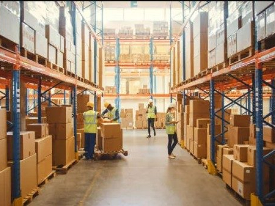 Baltimore Best Movers