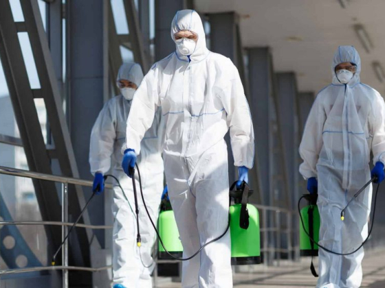 Absolute Mold Remediation Ltd.