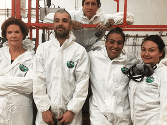 Absolute Mold Remediation Ltd.