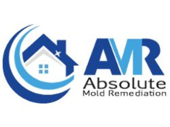 Professional Mold Removal in Toronto