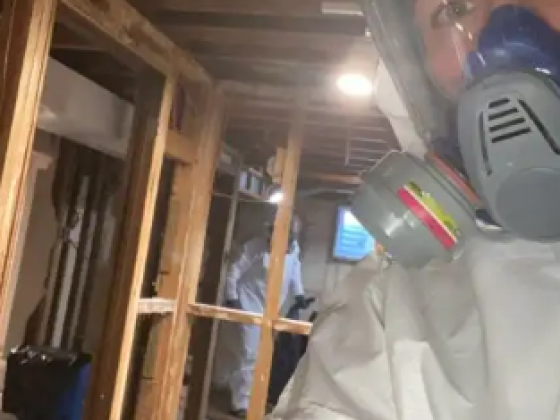 Get Rid of Mold for Good with Mold Removal Toronto Experts - Book Now!