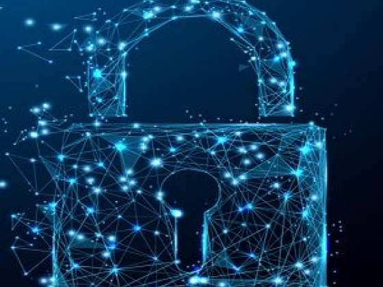 it vulnerability assessments calgary ab