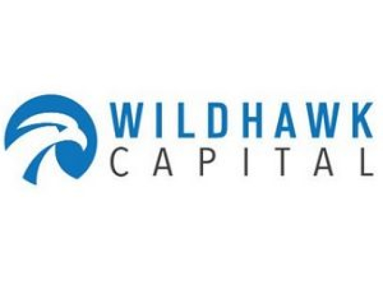 Financing and Insurance Agents