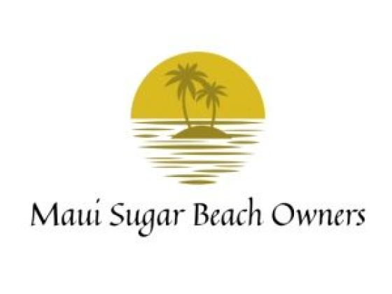 maui ocean front hawaii condos