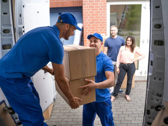 Three Movers