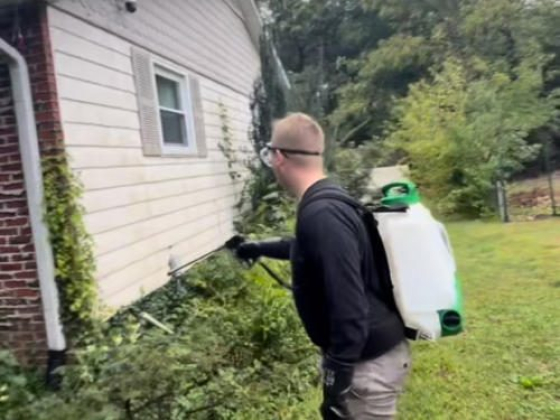 Diamond Pest Control