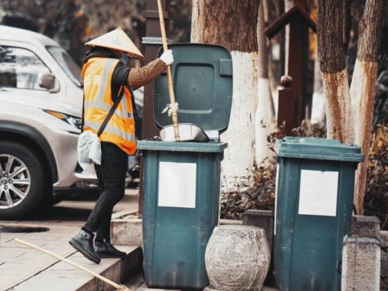 Mr Bins Geelong