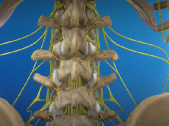 Spinal Reconstruction Surgery in Hackensack, NJ