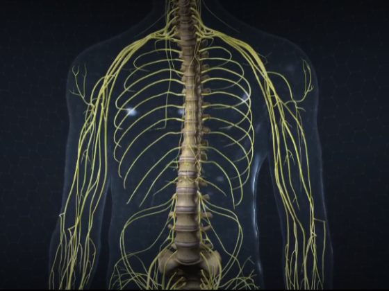 Decompression Surgery in Hackensack, NJ