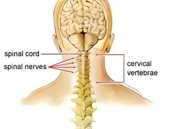 Neck Pain Treatment in Hackensack, NJ