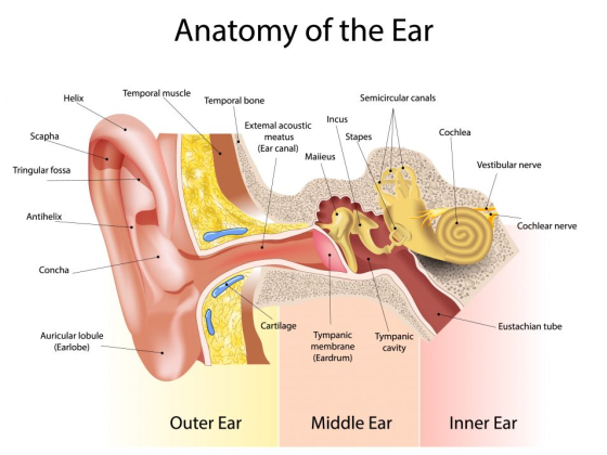 MK Ear Wax Clinic