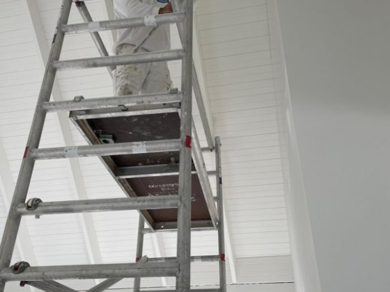 Top-Notch Painting Services in Mount Martha