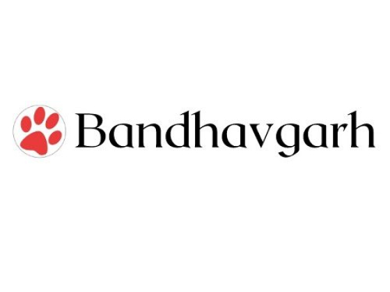 Tiger Safari Bandhavgarh