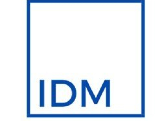 Idm Consulting