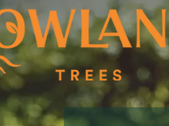 Lowland Trees