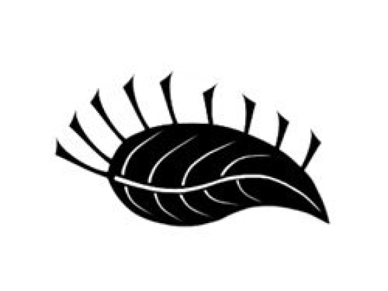 Kbar Beauty LLC