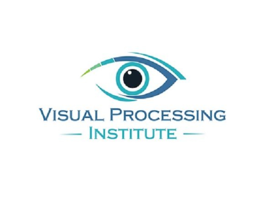 Visual Processing Institute