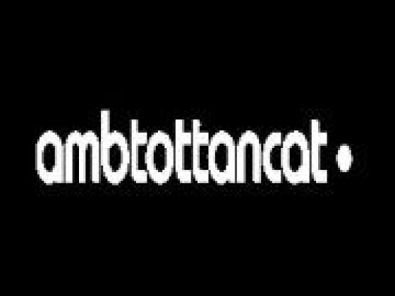 Rejas y Puertas Blindadas Ambtottancat