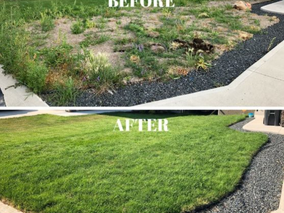 Cleanr Property Maintenance