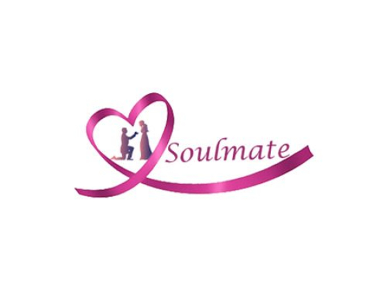 Soulmate Journey Book
