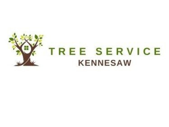 Tree Service Kennesaw