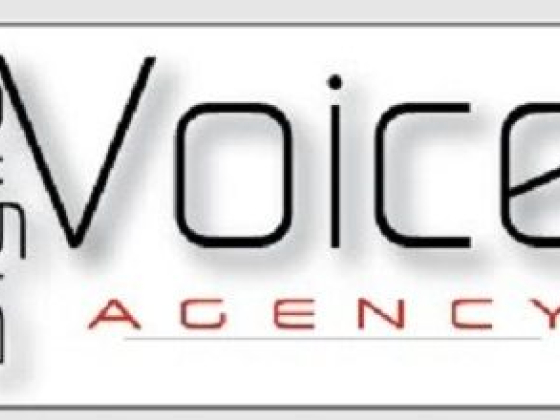 Digital Voice Inc.