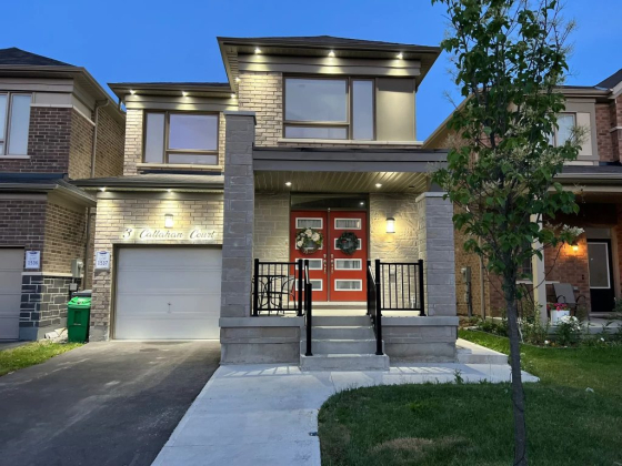 Honestus Paintings and Construction Services
