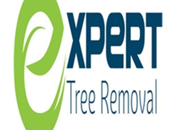 Expert Tree Removal Pty Ltd