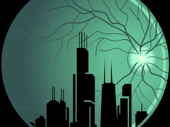 Windy City Retina - Ankit Desai, MD