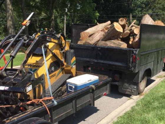 Duck's Tree and Stump Service