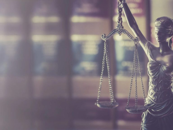 Weinberg Law Offices