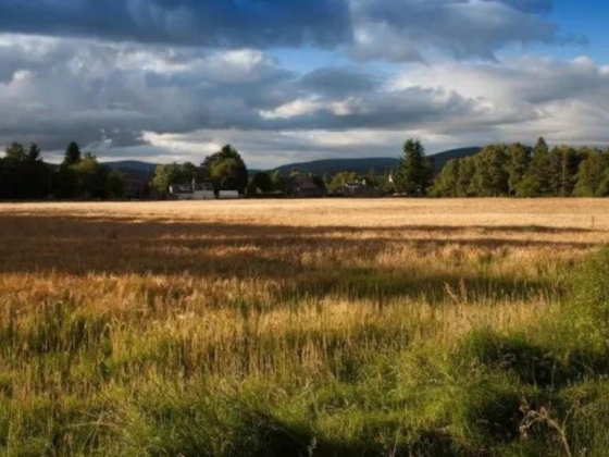 Sell Your Land in Alabama Fast