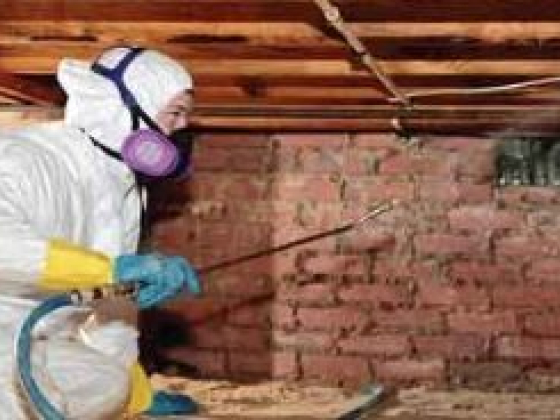 Professional Basement Waterproofing in Charlotte NC