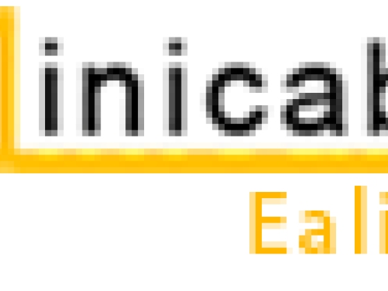 Minicabs Ealing