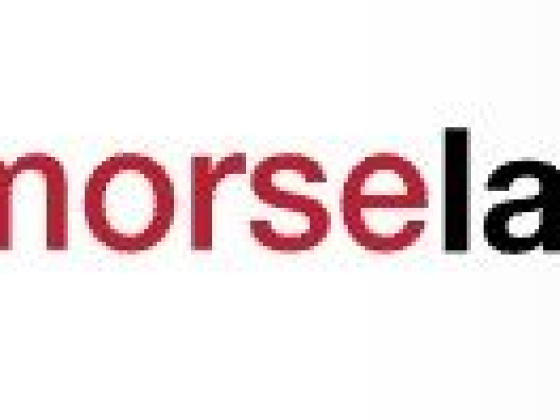 Mike Morse Injury Law Firm