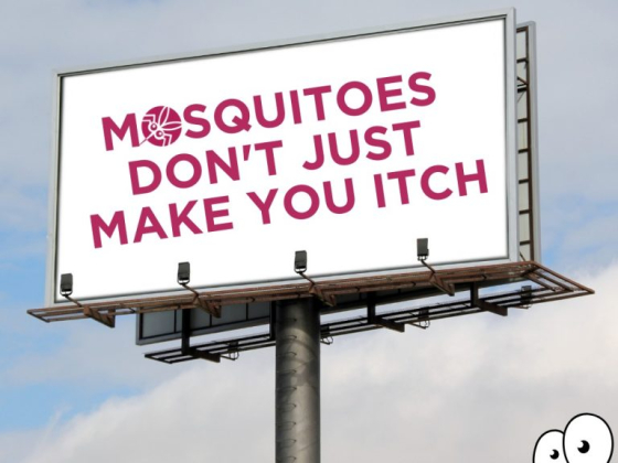 Mosquito Authority - Tyler, TX