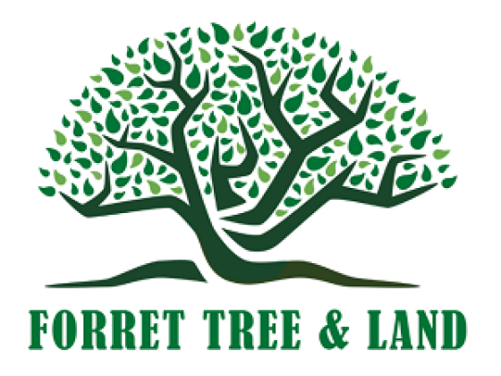 Forret Tree and Land Clearing