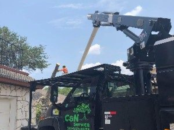 C&N Tree Service