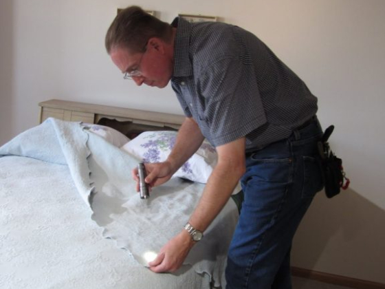 Bed Bug Exterminator Columbus