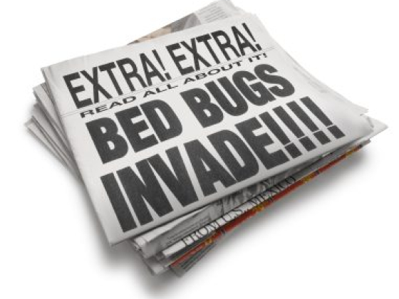 Bed Bug Exterminator Columbus